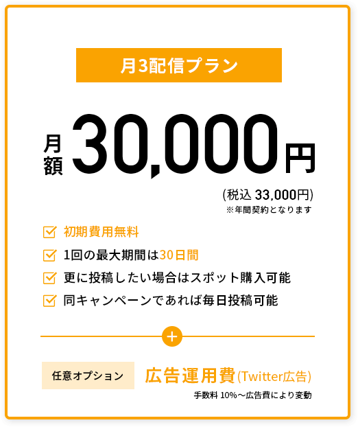 月額プラン(月3回配信)月額30,000円